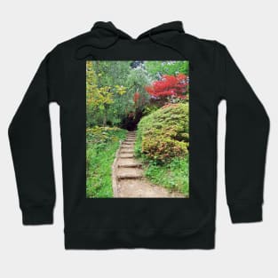 Forest Footpath Hoodie